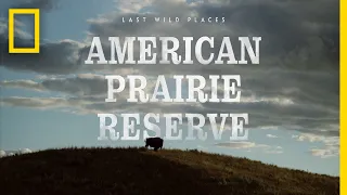 Last Wild Places: American Prairie Reserve | National Geographic