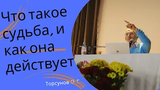 Что такое судьба, и как она действует. Торсунов лекции