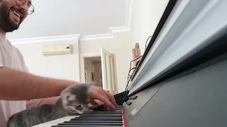 Kitten Interrupts Owner By Biting His Fingers While He Practices Playing Piano - 1290584