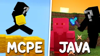 This Minecraft Player MASTERED Both Bedrock & Java Edition