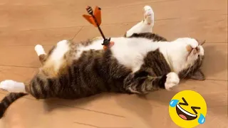 New Funniest Animals 2024 🤩Funny Cutest Cats and Dogs Videos😺🐺!! Part 42