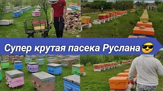 Самая лучшая пасека по нашему мнению, в гости к Руслану