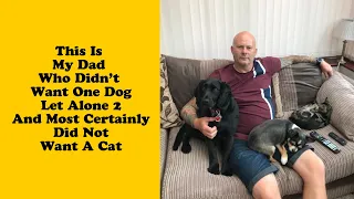 50 Dads Who Didn't Want The Damn Pet In Their Lives 2/2 - Love pet