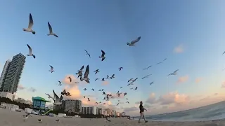 South Beach Miami Sunrise