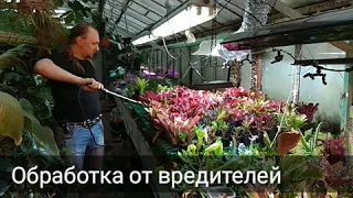 Обрабатываем ли мы от вредителей :)?