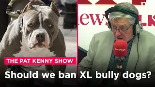 'Why would someone want to own one of these dogs?' Should we ban the XL Bully? | Newstalk
