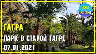 АБХАЗИЯ | ГАГРА 07.01.2021 | Парк в Старой Гагре | Субтропическое побережье Абхазии