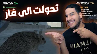 محاكي الفار | جربت حياة الفئران الخبيثه  😈 Rat Simulator