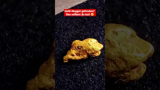 Gold-Nugget gefunden? Das solltest du tun! 😮🤫 #goldwaschen #goldwaschenindeutschland #goldsuchen