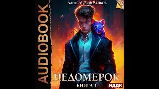 2004384 Аудиокнига. Ермоленков Алексей "Недомерок. Книга 1"