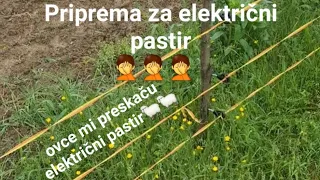 Električni pastir priprema--NA SELU JE ŽIVOT