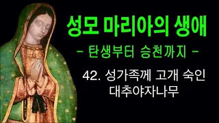 [성모 마리아의 생애] 42. 성가족에게 머리 숙인 대추야자 나무