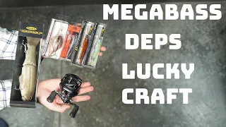 What's New This Week! Limited Megabass And Lucky Craft, Deps, Daiwa And More!