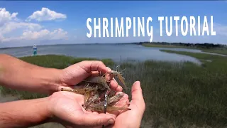 Shrimping: How To Catch Shrimp From Shore With A Cast Net - Shrimping Tutorial Guide | SFSC