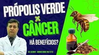 🐝 Própolis Verde e o Câncer. Desvende os Benefícios.🍯