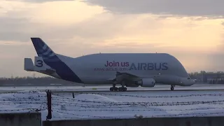 Airbus Белуга  Взлет из Новосибирска с 25 ВПП. 23.12.2021