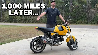 2022 Honda Grom DHM 149cc BBK One Year Update!