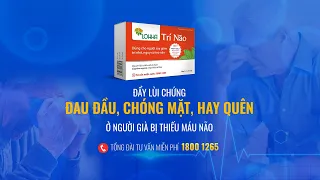 [Sống khoẻ mỗi ngày] Đẩy lùi chứng đau đầu, chóng mặt, hay quên ở người già bị thiếu máu não