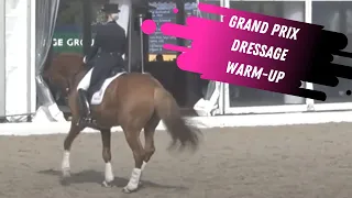 Grand Prix Dressage Warm-Up - Horses & Dreams