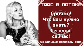 Срочно! Что мне нужно знать? Сегодня, сейчас! Совет от высших сил для ВАС!