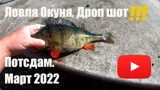 Рыбалка в Потсдаме  Дроп шот  Окунь  Март 2022