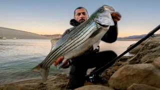 The Most AGGRESSIVE Fish I Ever Caught - Castaic Lake Striper Fishing w/Deps 250