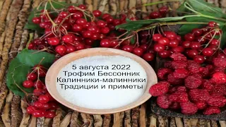 5 августа 2022  Трофим Бессонник.  День Трофима.  Приметы.