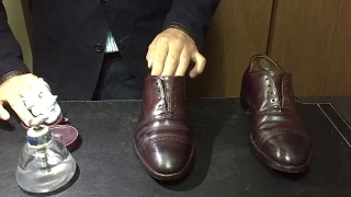 靴磨き Shoeshine Alden #9015 Oxford Shell Cordovan