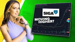 SIGA STOCK: Will it Rally Today? SIGA Stock Technical Analysis