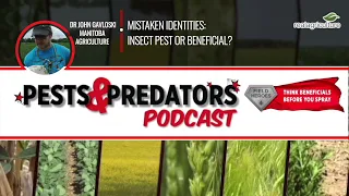 Pests & Predators, Ep 14: Mistaken identies: insect pest or beneficial insect?