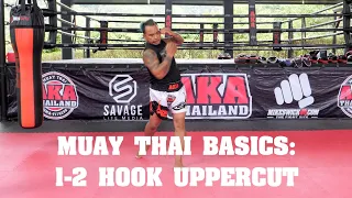 Muay Thai Basics: 1-2 Uppercut Combo - AKA Techniques