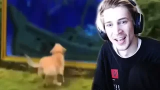 xQc Reacts to UNUSUAL MEMES COMPILATION V76 | xQcOW