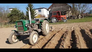 Sadzenie Ziemniaków 2020 Na Wesoło! URSUS C330 | JOHN DEERE 5055E & MF 255 | AgroŚwierklany!