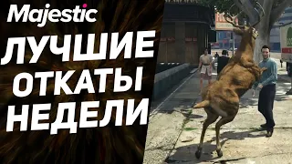 ПОЧЕМУ ОНИ АГРЕССИВНЫЕ? "ЖИВОТНАЯ" ВАКХАНАЛИЯ | GTA 5 | MAJESTIC RP