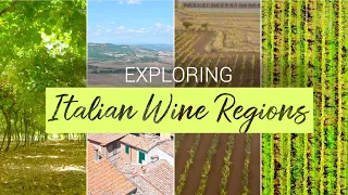 The Difference Between Italian Wine Regions