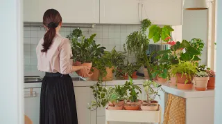 Organized house with plants / How to grow plants beautifully 🌿 Diligent housework and daily life