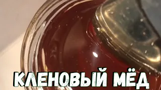 Кленовый мёд. Особенности и преимущества кленового мёда