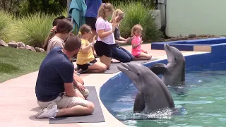 Dolphin Encounter - Mississippi Aquarium - July 22, 2022