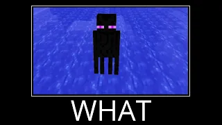 WAIT WHAT (Minecraft) #5