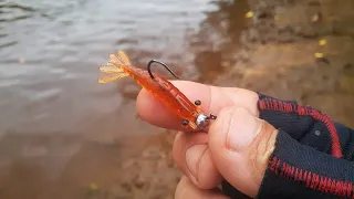 MICRO camarão na pecsa UltraLight  de barranco