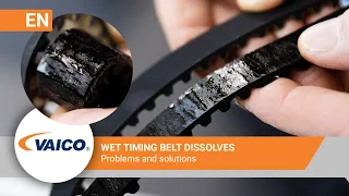 Wet timing belt 1.2 PureTech | Peugeot, Citroen | Timing belt dissolves | V22-0887