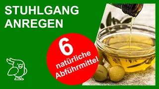 💡AKUTE VERSTOPFUNG  ▶ STUHLGANG SCHNELL ANREGEN | 6 natürliche Abführmittel |abführende Lebensmittel