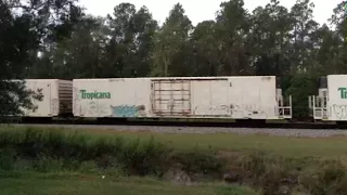 Tropicana Train in Folksen GA