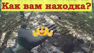 Коп в лесу.xp deus нашел редкий амулет!