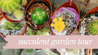 Cactus & Succulent Garden Tour - After Typhoon Ursula Philippines