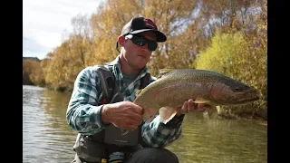 Fly Fishing For Rising Trout On A Crystal Clear River In New Zealand.