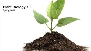 PLB 10: Lecture 20, Biotechnology