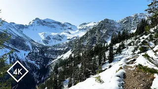 Amazing 4K snow hike in Bavaria's Alps, Gorgeous alpine nature tour, Immersive virtual nature walk