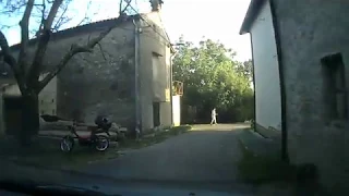 Unexpected "Traffic Jam" Captured on Dashcam