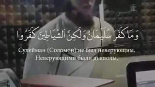 Сура Сулейман